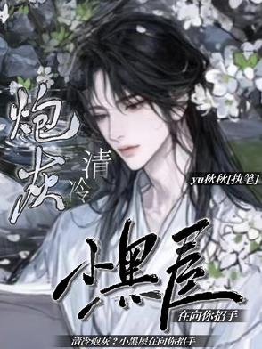 清冷炮灰?小黑屋在向你招手